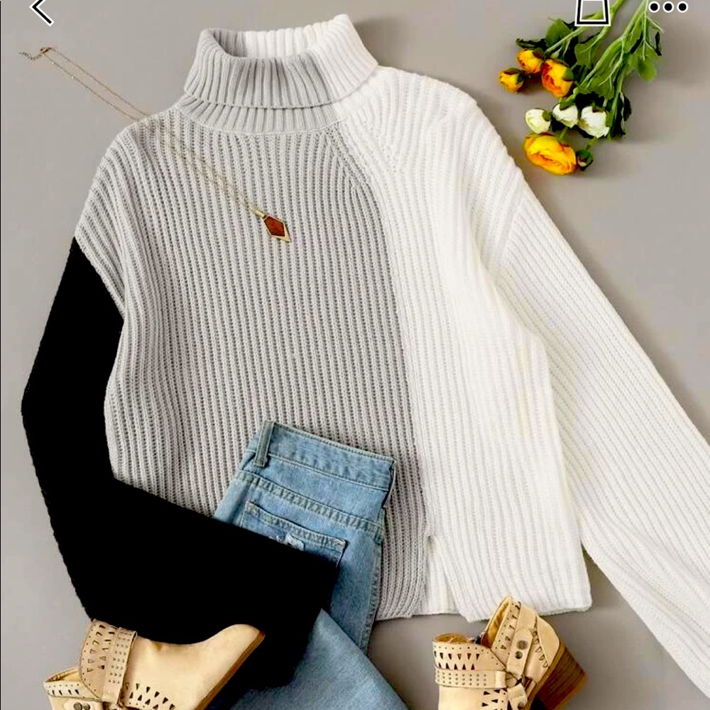 Colorblock lightweight turtleneck
